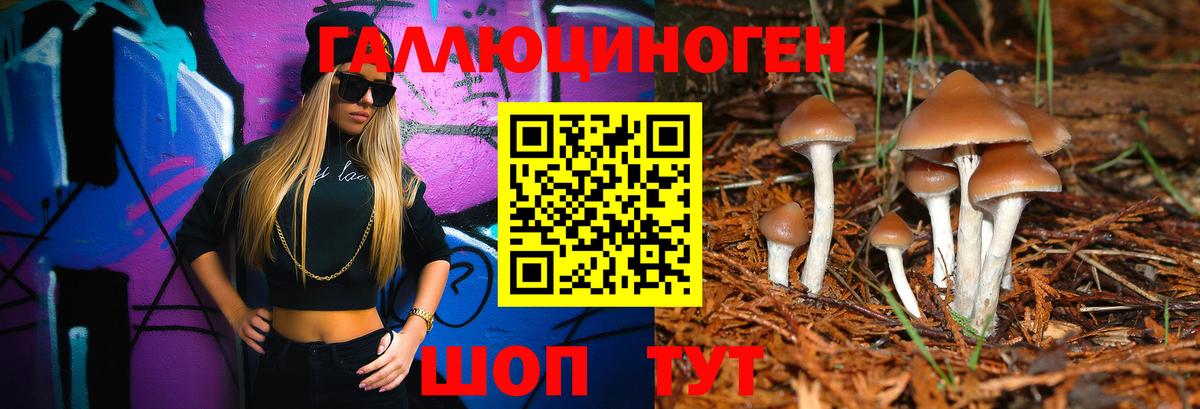 даркнет сайт  Галлюциногенные грибы Psilocybe  Вход с VPN  Галлюциногенные грибы GOLDEN TEACHER  Новоалтайск 