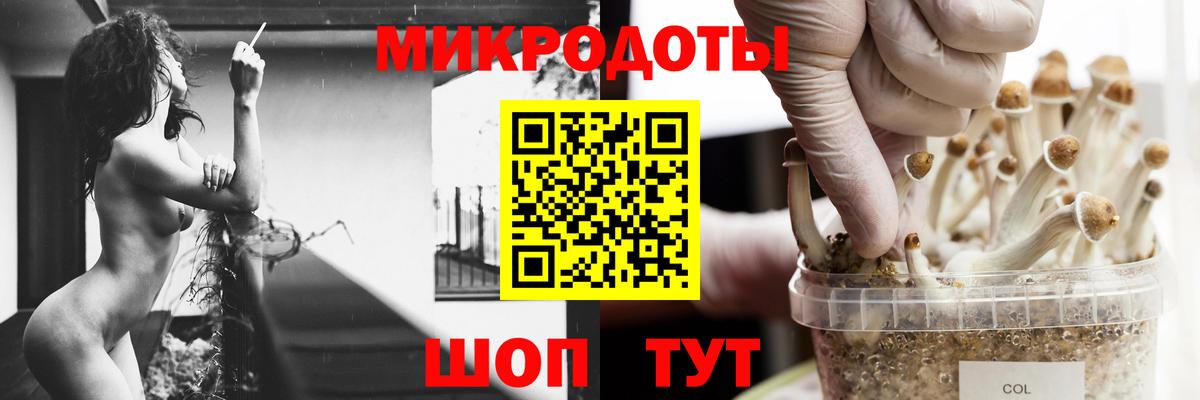 Псилоцибиновые грибы ЛСД Новоалтайск
